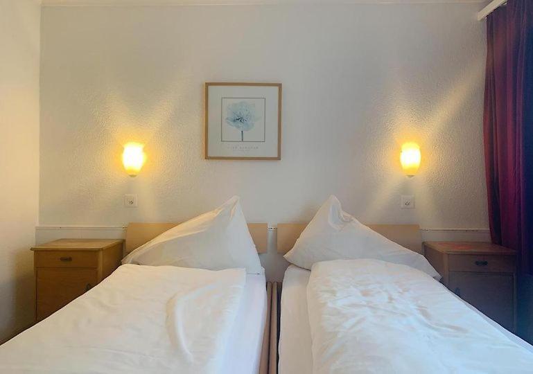 Hotel Rebstock マイリンゲン エクステリア 写真