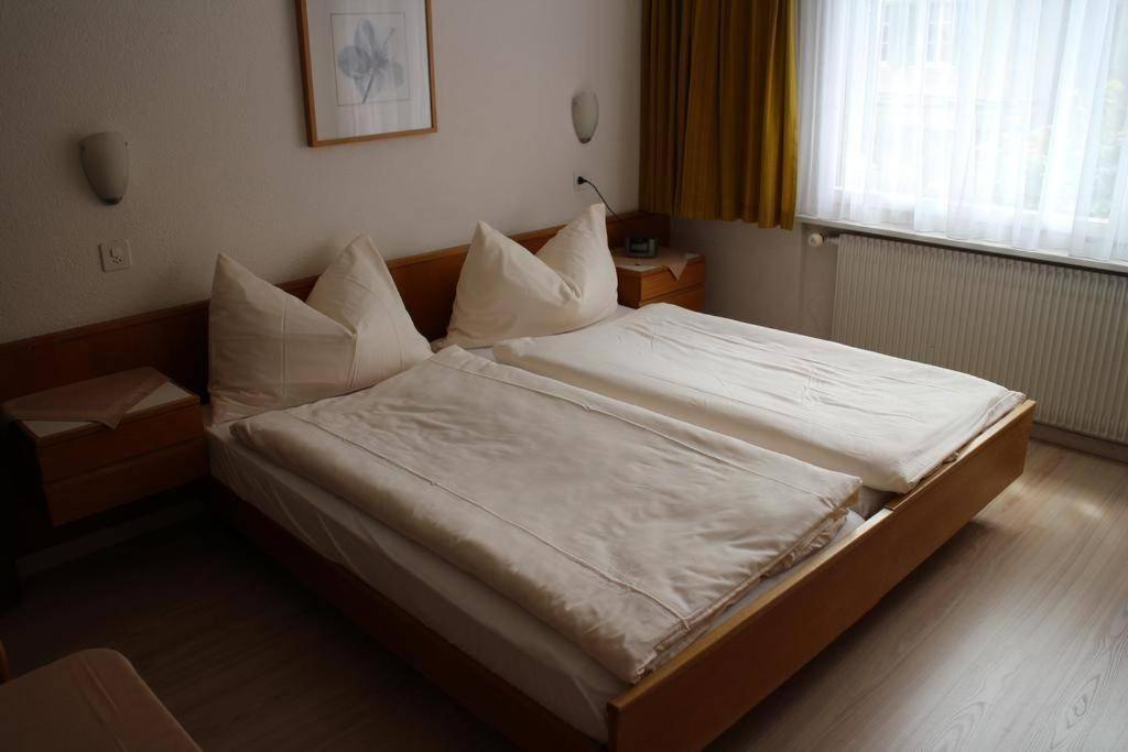 Hotel Rebstock マイリンゲン エクステリア 写真