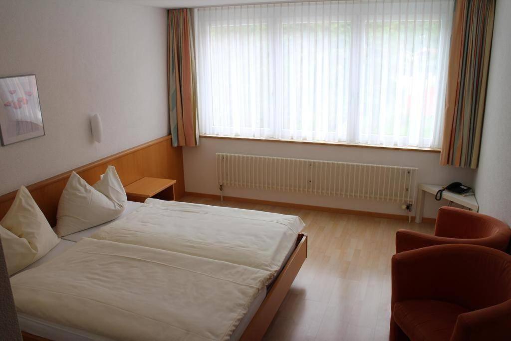 Hotel Rebstock マイリンゲン エクステリア 写真