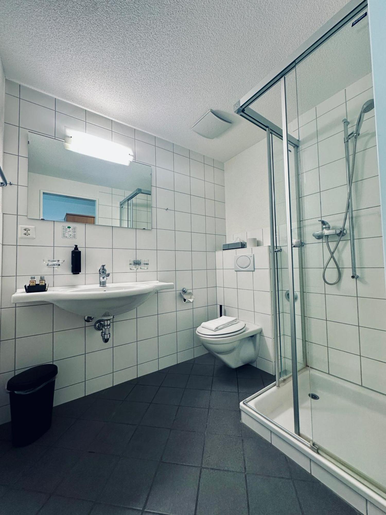 Hotel Rebstock マイリンゲン エクステリア 写真